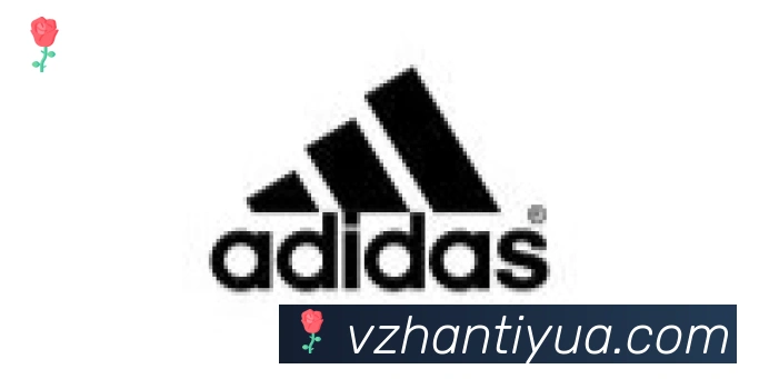 V站体育合作伙伴